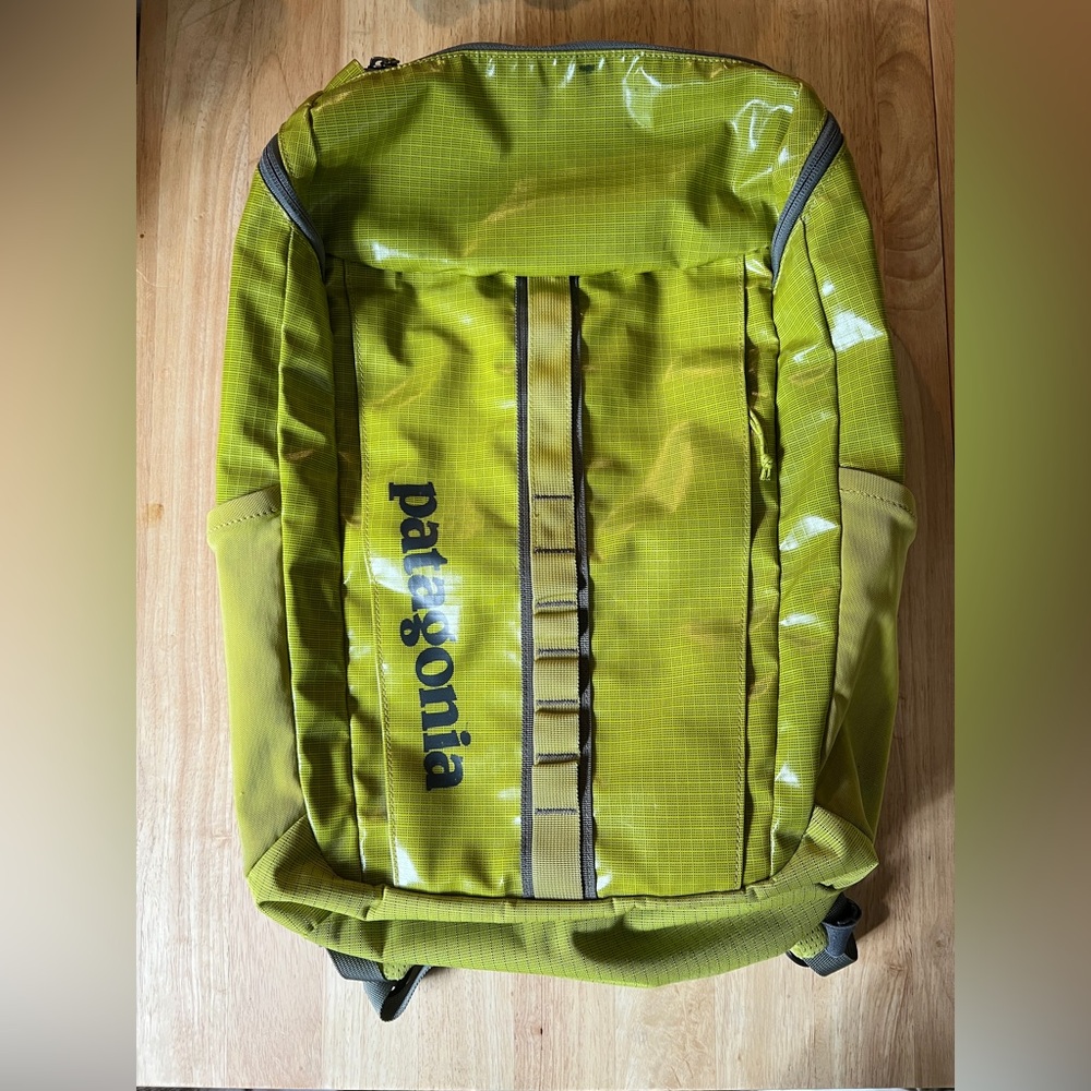 Patagonia 25L Blackhole Backpack